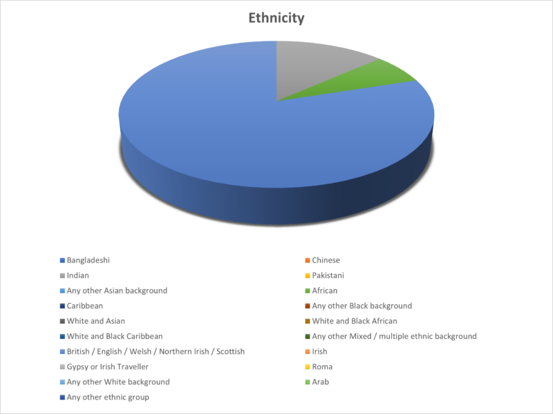 OTB Legal Ethnicity Pie Chart OTB Legal Ethnicity Pie Chart